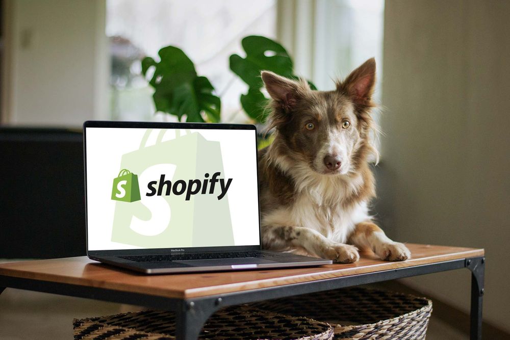 Σκυλάκια δίπλα σε λάπτοπ με σελίδα Shopify κόστος ανοιχτή